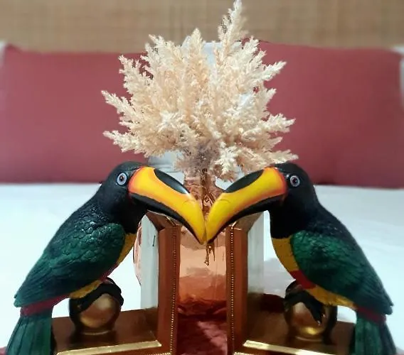 Apartament Casa Tucano - Francavilla Al Mare